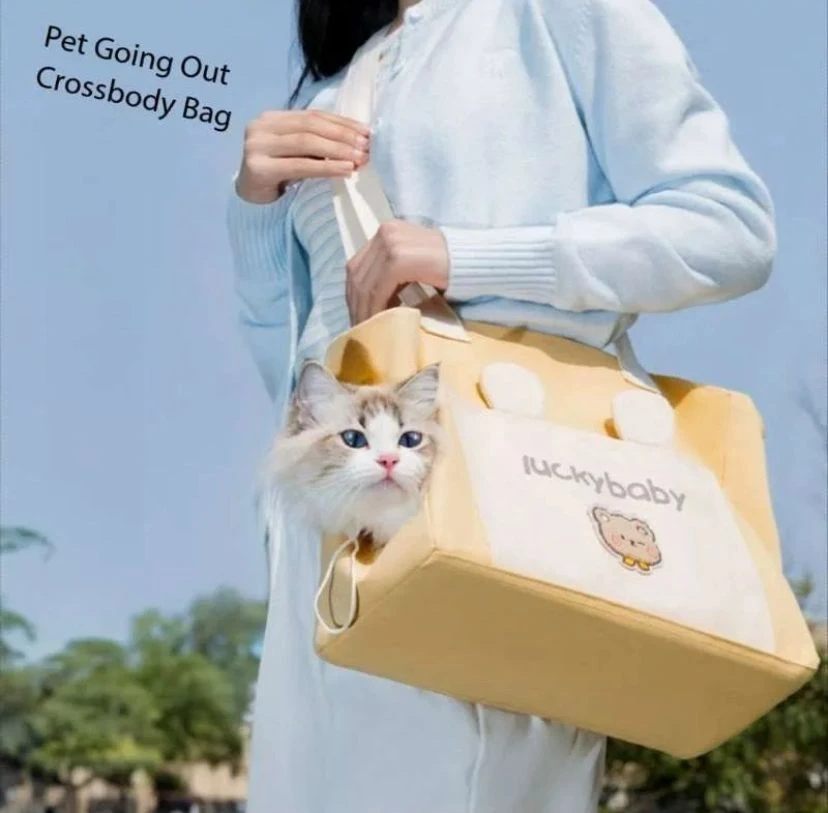 China top cat food & accessories