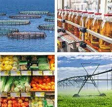 Agriculture, Food & Beverage